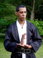 Quan Liu - Martial Artist Extraordinaire